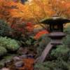 Lantern