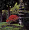 Paoda Lantern